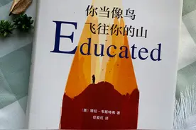 你当像鸟飞往你的山：我们终其一生都在逃离和治愈原生家庭之痛图片