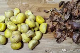 生板栗快速剥壳有窍门，2秒剥一个，完整不伤手，存放一年也不坏图片