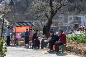 距离郑州最近的几处杏花观赏地推荐，车程不到一小时，关键还免费图片