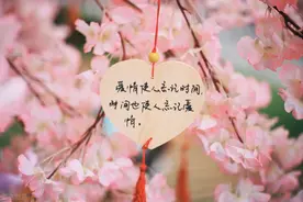 《韩赛尔与格莱托：父母与孩子互动的复杂故事图片