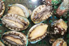 去买海鲜，只要说出这句“暗语”，老板就懂你是内行人，不敢欺瞒图片