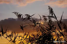 人到中年，为了生活，忍受了多少委屈图片