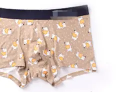 女生慎点！为什么男生喜欢穿四角内裤？图片