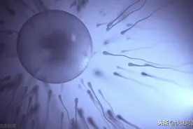 怀孕第一个月身体会有什么变化？如果有这六种表现，说明怀上了图片