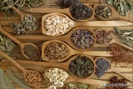 为什么研究中药不能靠成分检测？如果这样，说明你不懂中医文化图片