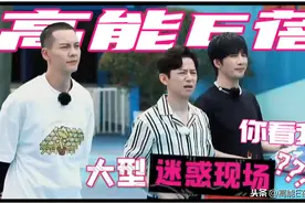 《认真的嘎嘎们》：一次刷屏级的迷惑行为大赏图片