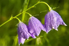 “老了也不指望你给养老”，说这种狠话的父母最后都怎样了？图片