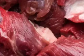 精心准备的生骨肉，反而是妨害猫狗健康的杀手图片