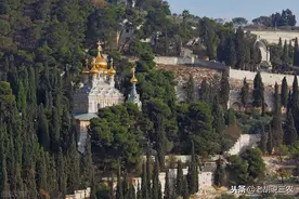 农村俗语：“柏木不做床，桐木不做梁”，是为啥呢？图片