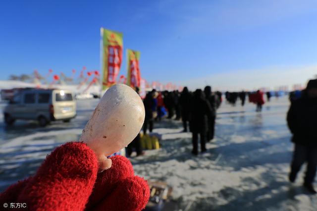 海南的花胶贵吗 海口花胶在哪买