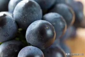 买水果时，是葡萄好还是提子好？区别不少，懂行人别买错图片