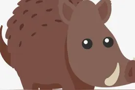 【金龟子讲睡前故事】三颗爱哭的“松果”图片