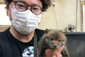 日本男子路边发现“流浪狗”，求助网友找主人，结果得知意外消息图片