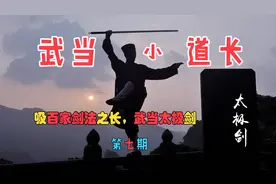 进阶功法“去疲劳，养心神”武当太极剑第七期图片