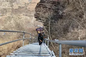 索玛花开凉山美图片