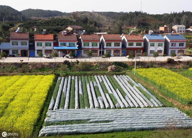 ������֪ʶ��ũ��լ����24�ʣ���������ȫ�Ļش𣡣��ղر��ã�