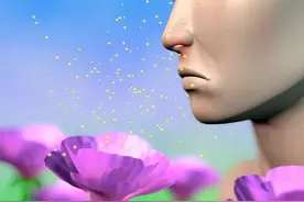 德国科学家研究发现，过敏反应可能“触景生情”图片