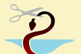 被蛇咬住怎么让它松口？错误方法：一刀剪掉脑袋，操作令人窒息图片