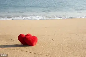 赶海的老伴啊，你怎么狠心丢下我图片