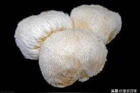 猴头菇畸形菇及其防治，不可错过的技术整合，一起来看看图片