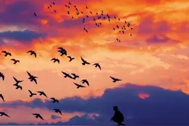 羊皮卷智慧：超越自己比超越别人更重要，人生最大的成功图片