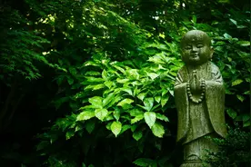 不在乎，就什么都伤不到你，3首佛系古诗词，品淡泊人生图片