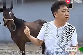郭德纲送汗血宝马，于谦养在60亩私家动物园，奇珍异兽价值百万图片