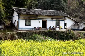 户口农转非后，还能继续享受农村的宅基地、房屋和土地承包权吗？图片