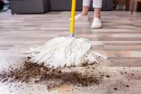 地面拖了还是脏，可能是水“惹的祸”，教你窍门，地板干净又耐脏图片