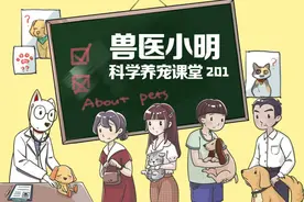 导盲犬的出现，让盲人能再次拥抱世界，你愿与导盲犬同行吗？图片