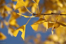 十月：致我最在乎的人图片