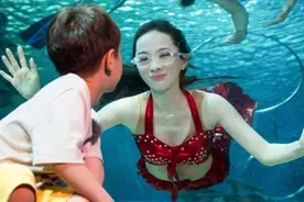“妈妈，我是从哪里来的？”霍思燕是这么回答嗯哼，你学到了吗图片