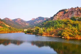 来城阳，开启花璞“杏”福之旅！图片