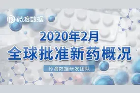 2020年2月全球批准新药概况：美国5个，中国1个图片