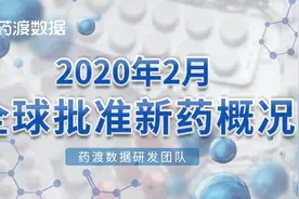 2020年2月全球批准新药概况：美国5个，中国1个图片