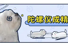 害怕！这只狗24小时转个不停，是不是有病？图片