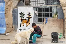 纪实：农家院落的“门帘”记忆图片