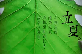 立夏以后猪皮肤易出现红色病变，这些红斑、红点究竟是何方神圣？图片