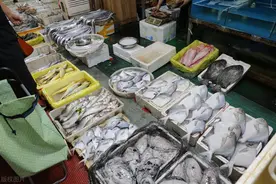 超市几块钱1斤的“龙利鱼”，打折也别多买，懂行的从不给家人吃图片