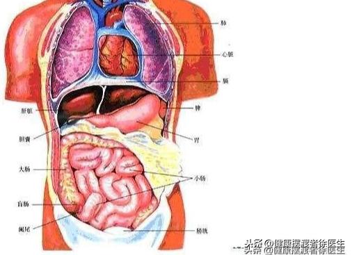 肚脐眼下面痛怎么办