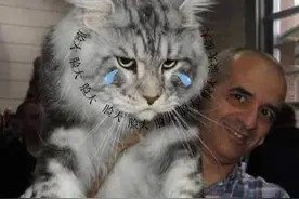 和猫主子合影能多显脸小图片