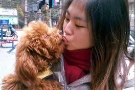 如果狗狗让你碰它这6样东西，别怀疑，它已经深深爱上你了图片