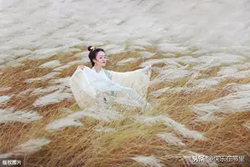 《诗经》的篇首《关雎》赏析图片