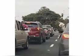 堵车时两只狗把头探出窗外，还以为在示好呢，看清后发现竟是炫耀图片