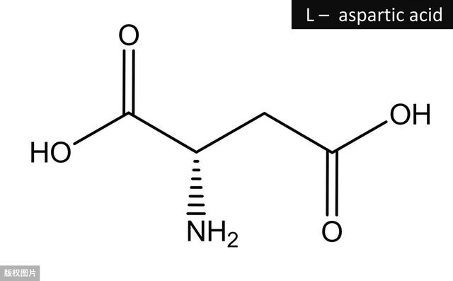 主管药师基础知识-生物化学1-蛋白质的结构与功能