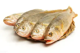 一样是黄花鱼，选大黄花还是小黄花？老渔民告诉你答案，别买错了图片