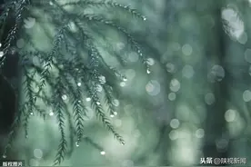 人工增雨！昨天西安市普降小到中雨，这里降雨量最大图片
