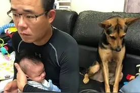 只顾孩子不看我！狗狗委屈缩一旁，主人发现赶紧抱住它图片