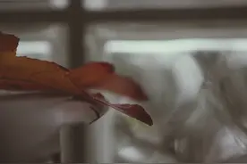 那些被父母安排相亲的人，最后过的真比我们想象的好图片
