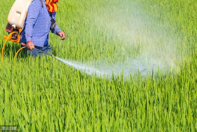 很多人容易把杀菌剂和杀虫剂弄混淆，推荐农药分类大全（收藏）